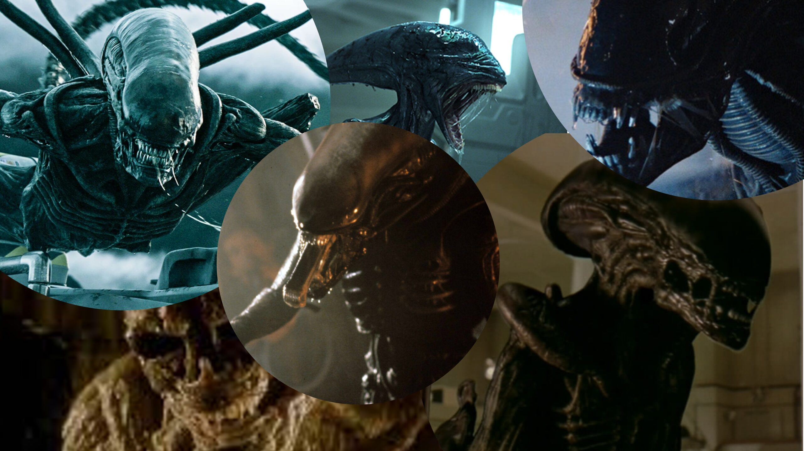 The Alien-a-Thon Episode 6  Aliens vs. Predator: Requiem (2007) 